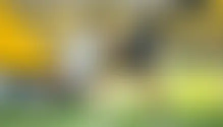 Palmeiras x Atlético Nacional: Tudo o que você precisa saber sobre o jogo desta terça-feira (17)!