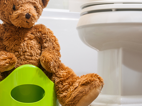 Toilet Training for Toddlers