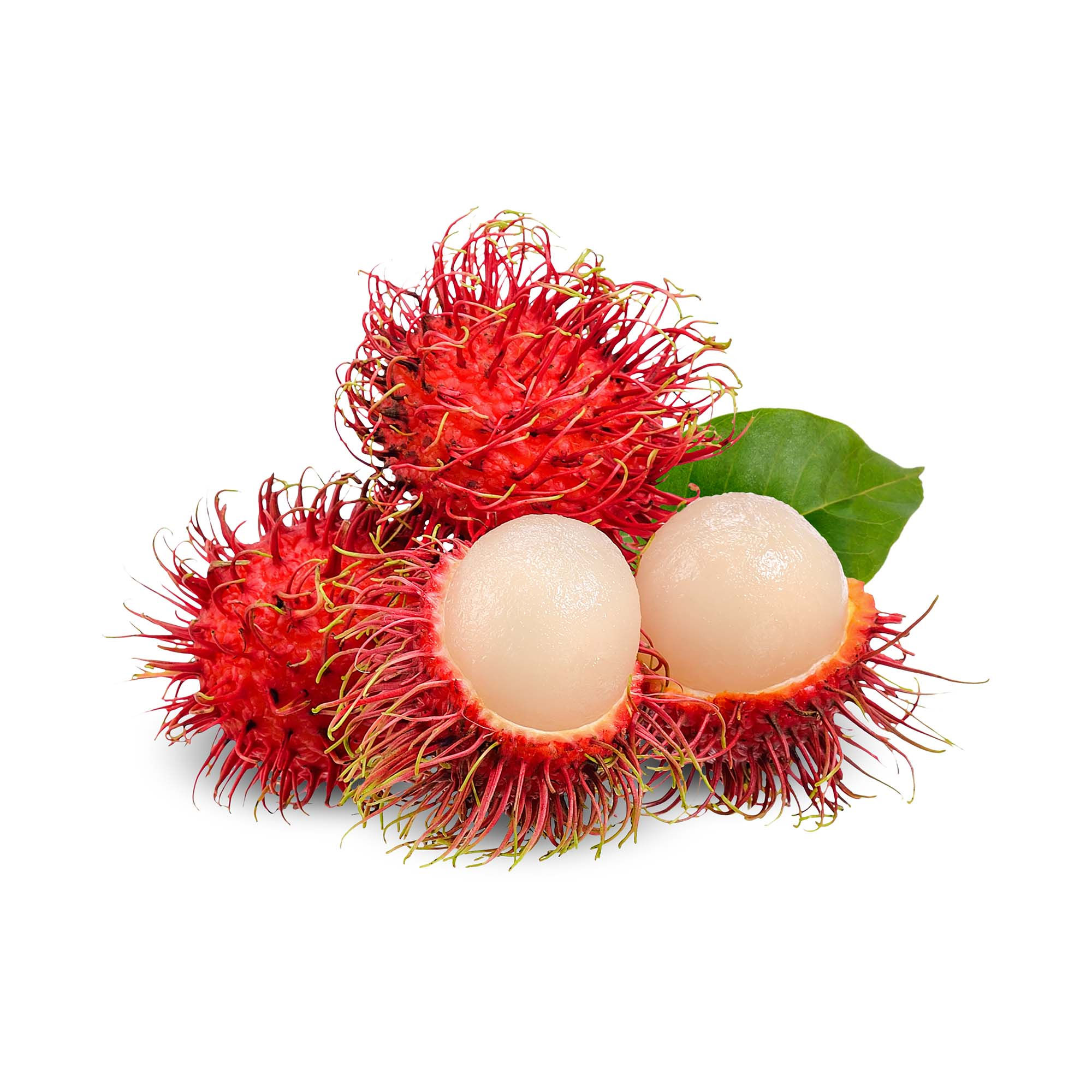 Rambutan Fruit
