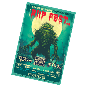 affiche festival riipfest