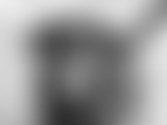 Cão Orelha: Polícia usa imagens e dados de celular para desvendar caso