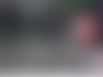 Galho de grande porte atinge residência e exige ação dos bombeiros