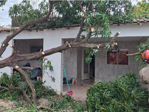 Plantão dos Bombeiros: chuva e ventos fortes causam quedas de árvores em Corumbá e Ladário