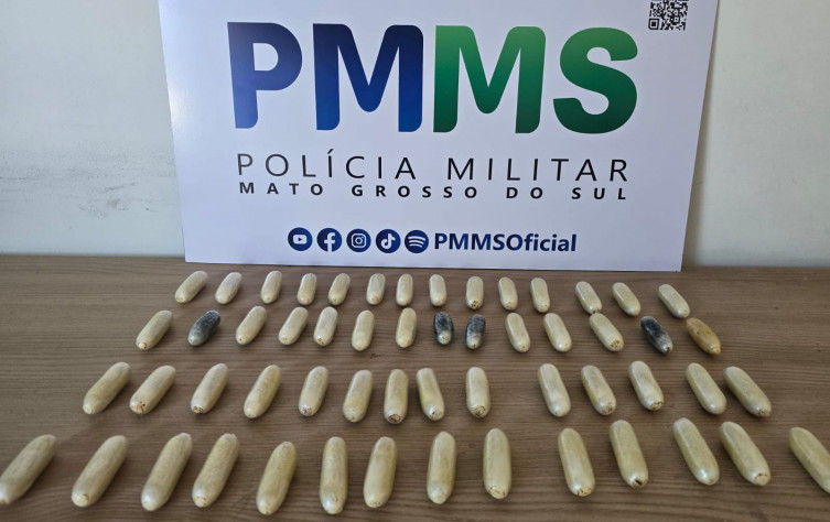 Imagem: Reprodução