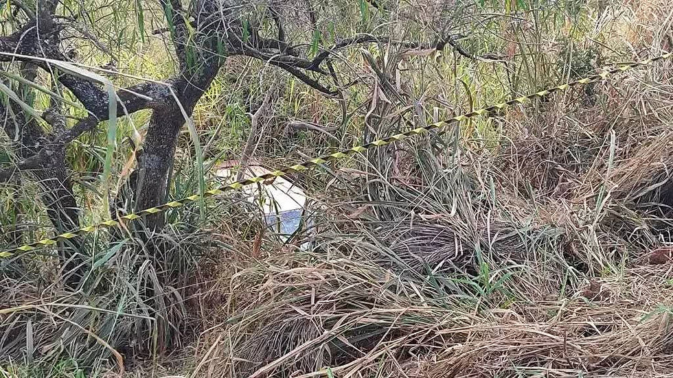 Carro parcialmente escondido em vegetação alta