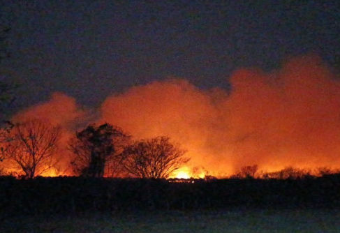 Operação Baía Negra apura incêndios em área protegida no Pantanal