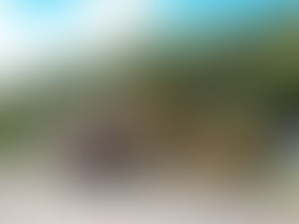 Mutirão contra chikungunya mobiliza moradores e retira 40 toneladas de resíduos em Corumbá