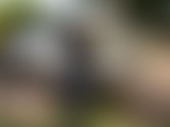 Ação contra receptação de cabos prende homem e revela irregularidades em cinco estabelecimentos