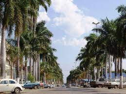 Imagem: PantanaMS