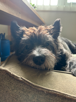 20230818_172857746_iOS