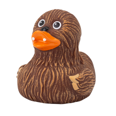 Canard Chewie