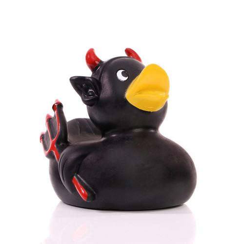 Canard 
