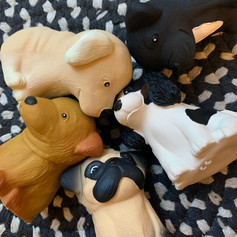 Puppy Parade Hevea