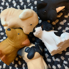 Puppy Parade Hevea