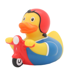 Canard Scooter