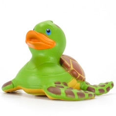 Canard Tortue de Mer