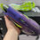 Thumbnail: New Adidas f50 2024 now available in our store!!! 🔥🔥🔥