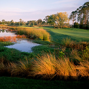Raven Golf Club Sandestin, FL USA