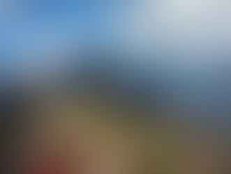 The More Things Change