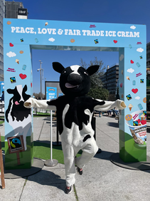 Ben & Jerry's