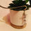 Miniature : Marque Page WonderWorld Pourpre