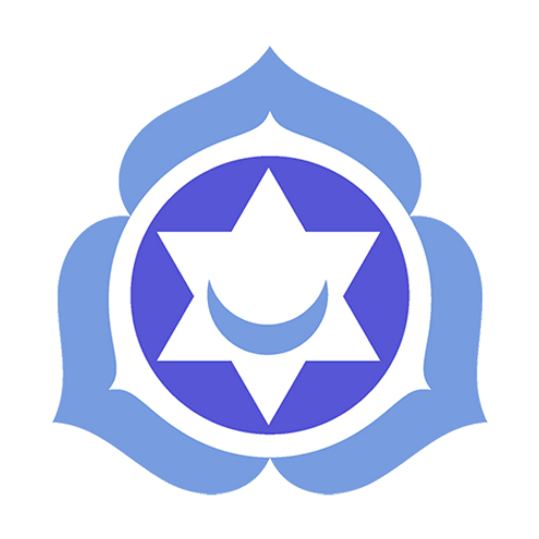 pierres-mineraux-chakra-coeur-karmique-t