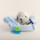 משלוח מתנה ליולדת