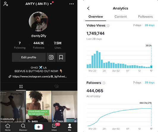 Anty2Fly Tik Tok growth.png