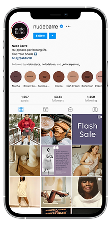 Instagram growth and verification.png