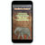 Thumbnail: Watercolor African Safari Birthday Invitation with lion, elephant, giraffe with animal print backgrounds