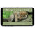Thumbnail: Wolf themed birthday party invite with nature footage. Sage green color theme or custom color choice. Birthday Fundraiser.