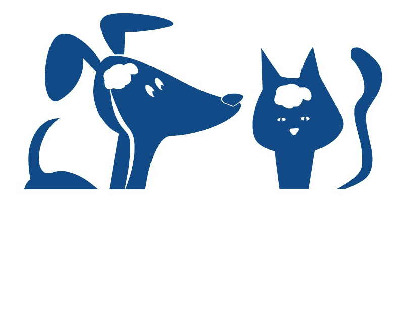 Thumbnail: Animated Logo Design Services