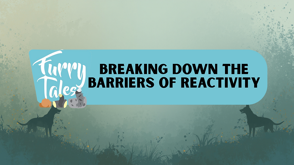 Breaking Down the Barriers of Reactivity