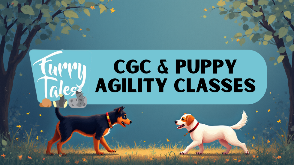 CGC & Puppy Socialization Classes 🐾