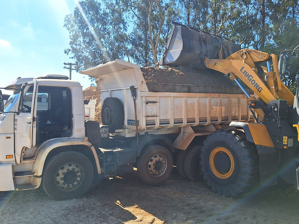 Imagem do WhatsApp de 2025-11-22 à(s) 17.56.31_c5d5f83e.jpg