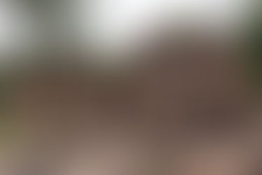 The truth of history is that you should not steal from it, as doing so causes your descendants to lose their reputation and honor [Video]