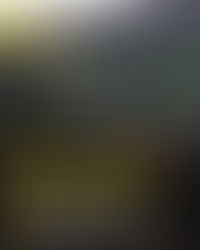 The Ministry of External Affairs (MEA) on Wednesday (December 24) issued a statement on the demolition of a statue of Lord Vishnu along the Thailand-Cambodia border.