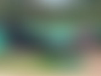 Thai armed forces, accompanied by heavy machinery such as excavators, entered An Ses area within Cambodian sovereign territory