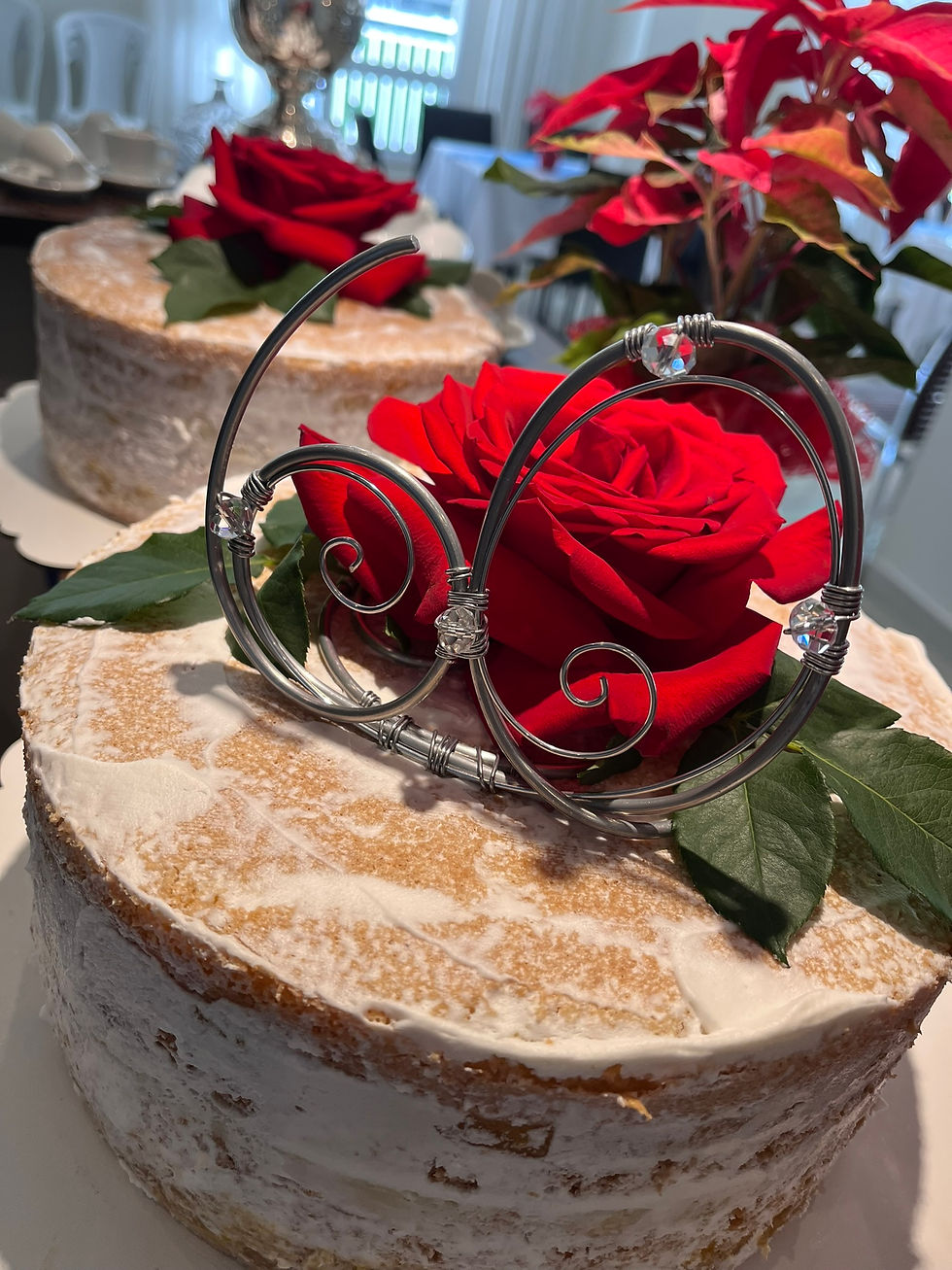 Bodas Diamante Tio Plinio e Darcy