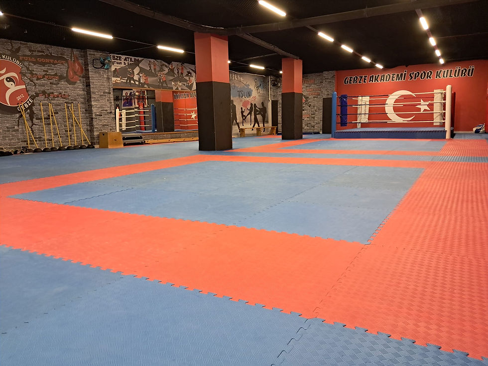GebzeATILIMGYM1