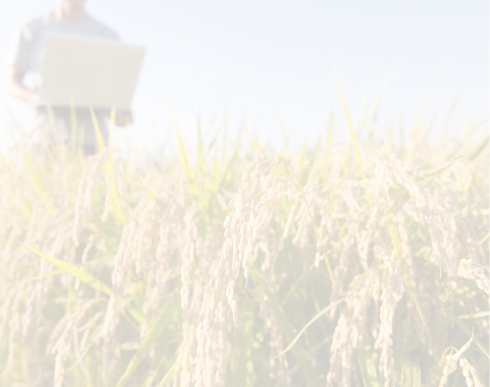 Fotos Site Lívia (1).png