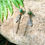 Thumbnail: African Turquoise Feather Earrings w White-Gold Chain on Silver Hooks