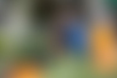 Engagement Session at Pollywog Park with Lilet and Brian