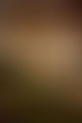 Brea Engagement Session with Giuliana and William