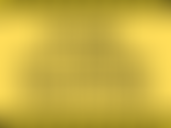 Fighting For Our Police Desk