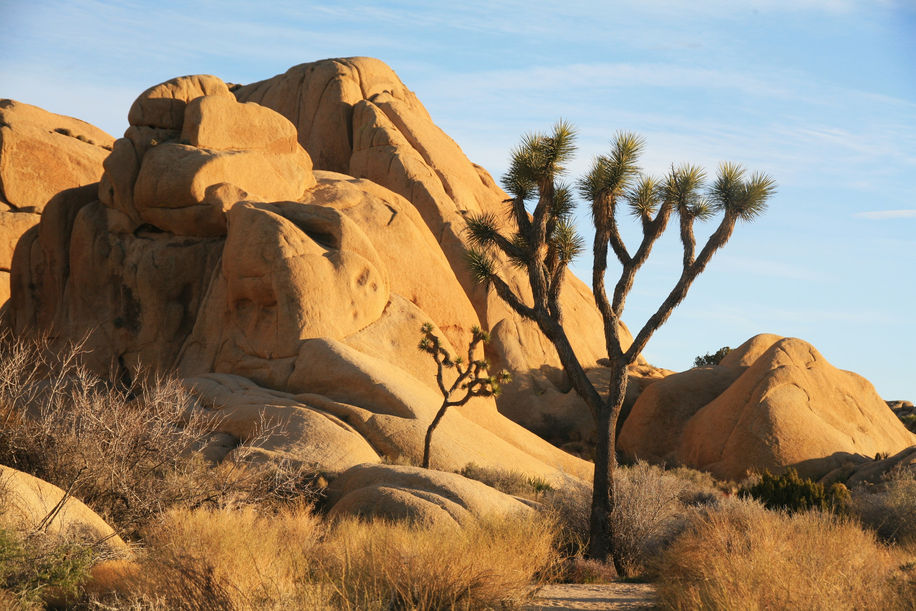 Jumbo Rocks, Joshua Tree National Park