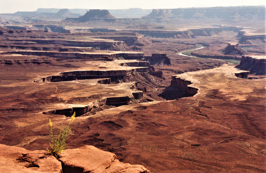 Grand View Point, Island in the Sky, Canyonlands National Park