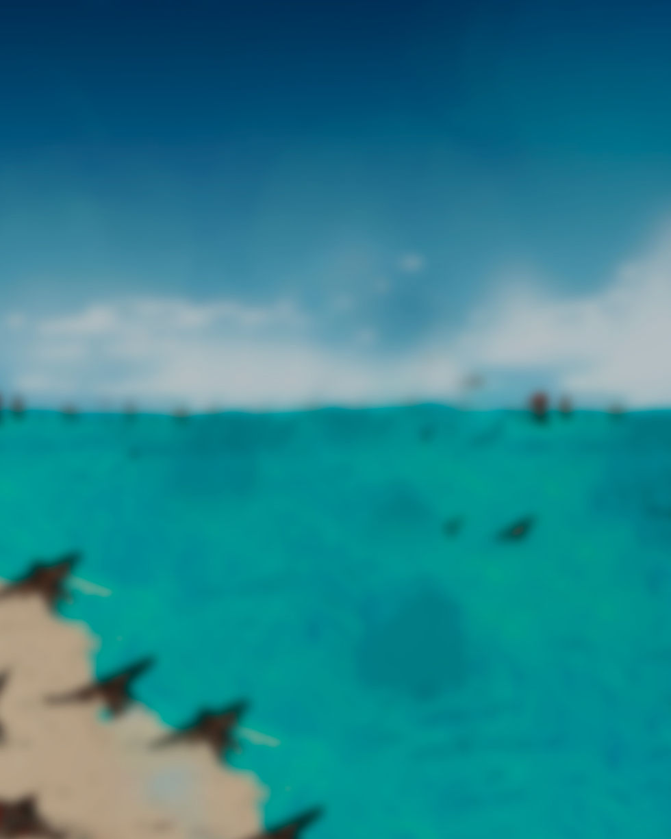 4x5 3.jpg