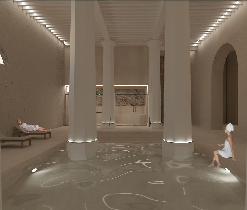 MASTERS THESIS PROJECT | ANIMA BENESSERE