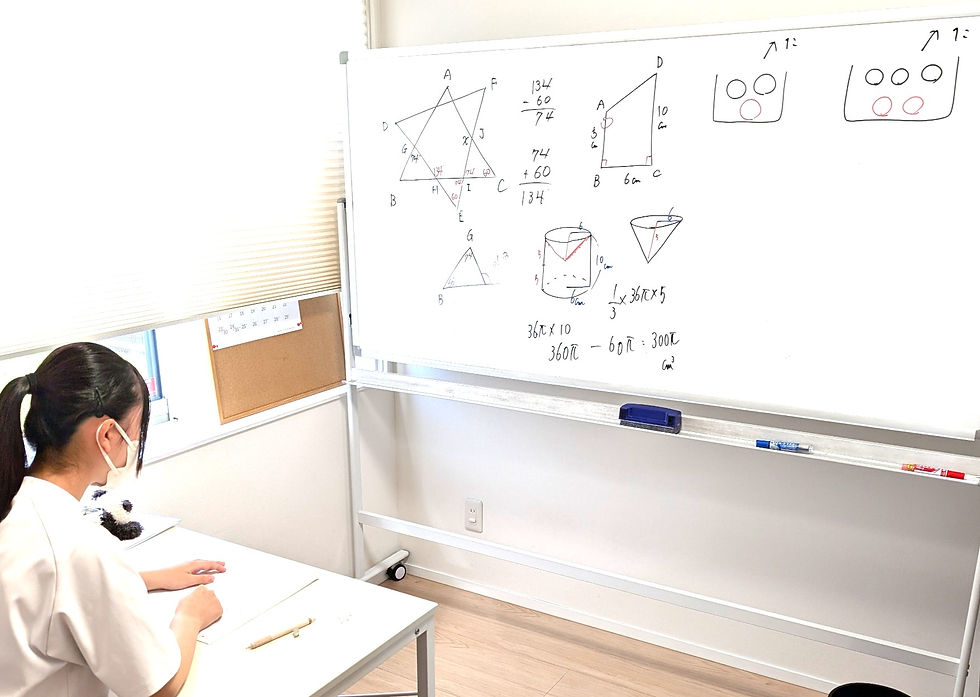 たむかい学習教室 個別指導 塾 数学 八戸市 中学生 高校生